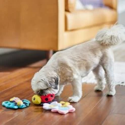 Frisco Spring Pack Plush Squeaky Dog Toy -Pet Toys Store 304950 PT4. AC SS1800 V1703184715