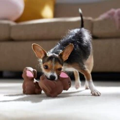 Frisco Easter Chocolate Bunnies Latex Squeaky Dog Toy -Pet Toys Store 304956 PT4. AC SS1800 V1700162989