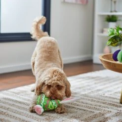 Frisco Easter Bunny Egg Plush Squeaky Dog Toy -Pet Toys Store 304960 PT4. AC SS1800 V1702500564