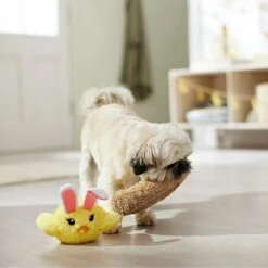 Frisco Easter Chick In Nest 2-in-1 Plush Squeaky Dog Toy -Pet Toys Store 304962 PT4. AC SS1800 V1702500565