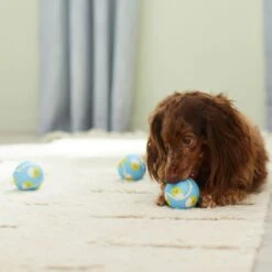 Frisco Easter Fetch Squeaky Tennis Ball Dog Toy, Medium, 3 Count 10 Frisco Easter Fetch Squeaky Tennis Ball Dog Toy, Medium, 3 Count -Pet Toys Store 304964 PT4. AC SS1800 V1703184745