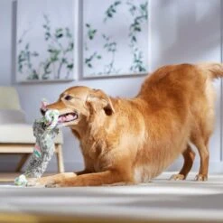 Frisco Easter Bunny Plush With Rope Squeaky Dog Toy -Pet Toys Store 304974 PT4. AC SS1800 V1702500566