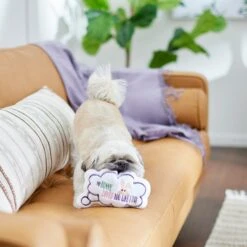 Frisco Easter Message Bubble Plush Squeaky Dog Toy 9 Frisco Easter Message Bubble Plush Squeaky Dog Toy -Pet Toys Store 304980 PT3. AC SS1800 V1642441439