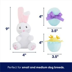 Frisco Easter Basket Hide & Seek Puzzle Plush Squeaky Dog Toy -Pet Toys Store 304982 PT2. AC SS1800 V1702665735