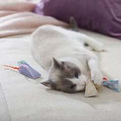 Frisco Spring Party Hat Kickers Cat Toy With Catnip -Pet Toys Store 306960 PT3. AC SS1800 V1703184746