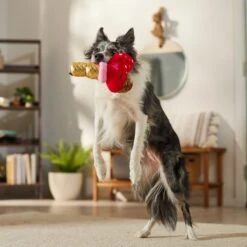 Frisco Valentine Ice Cream Plush Squeaky Dog Toy -Pet Toys Store 312895 PT3. AC SS1800 V1701364917