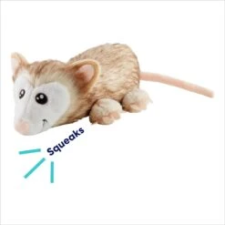 Frisco Realistic Opossum Plush Squeaky Dog Toy 10 Frisco Realistic Opossum Plush Squeaky Dog Toy -Pet Toys Store 316929 PT2. AC SS1800 V1695761146