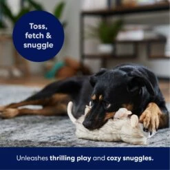 Frisco Realistic Opossum Plush Squeaky Dog Toy 12 Frisco Realistic Opossum Plush Squeaky Dog Toy -Pet Toys Store 316929 PT4. AC SS1800 V1695760990