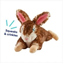 Frisco Realistic Rabbit Plush Squeaky Dog Toy -Pet Toys Store 316939 PT2. AC SS1800 V1695760987