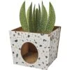 Frisco Potted Succulent Cardboard Cat House -Pet Toys Store 317723 MAIN. AC SS1800 V1688677259