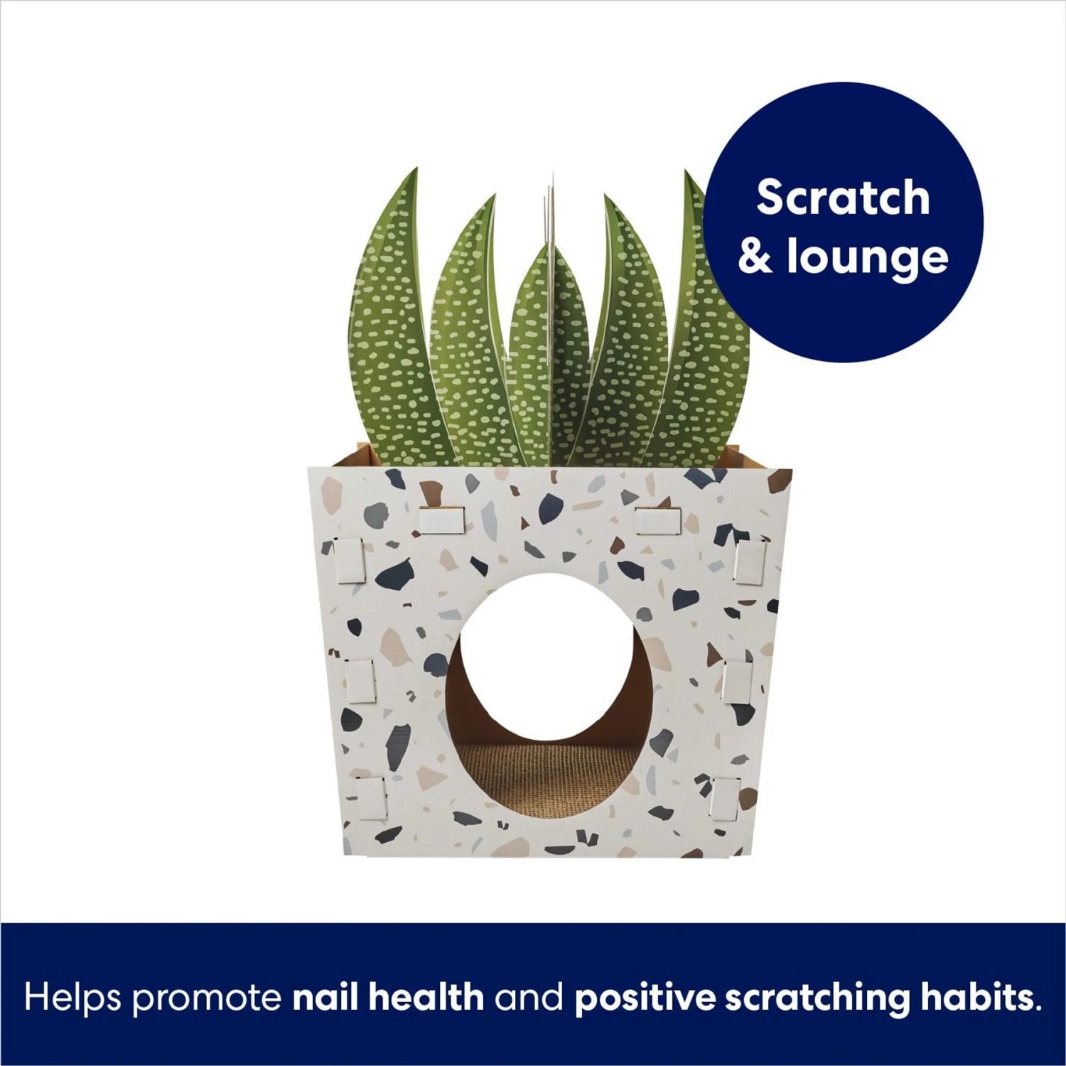 Frisco Potted Succulent Cardboard Cat House 5 Frisco Potted Succulent Cardboard Cat House - Image 3