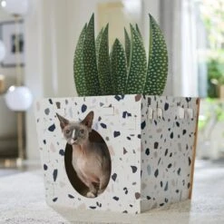 Frisco Potted Succulent Cardboard Cat House 12 Frisco Potted Succulent Cardboard Cat House -Pet Toys Store 317723 PT4. AC SS1800 V1688677260