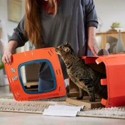 Frisco TV Set Cardboard Cat House -Pet Toys Store 317731 PT3. AC SS1800 V1688677262