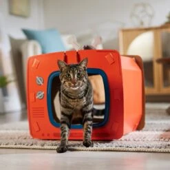 Frisco TV Set Cardboard Cat House -Pet Toys Store 317731 PT4. AC SS1800 V1688677247