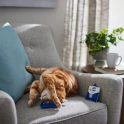 Frisco Father's Day Card Felt Cat Toy With Catnip, 2 Count -Pet Toys Store 327029 PT3. AC SS1800 V1648667305