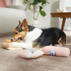 Frisco Mother's Day Gifts Plush Squeaky Dog Toy, 3 Count -Pet Toys Store 327035 PT3. AC SS1800 V1646947993