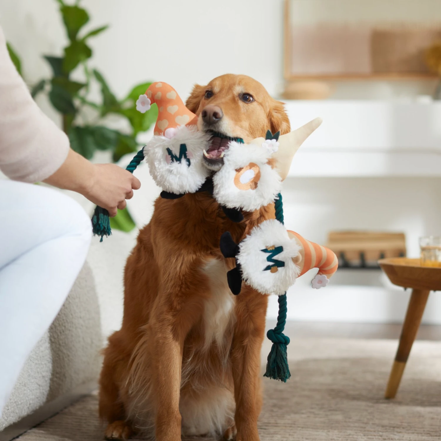Frisco Mother's Day Gnomes Plush With Rope Squeaky Dog Toy 5 Frisco Mother's Day Gnomes Plush With Rope Squeaky Dog Toy - Image 3
