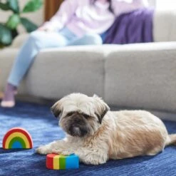 Frisco Pride Rainbow & Heart Latex Squeaky Dog Toy, 2 Count -Pet Toys Store 331632 PT3. AC SS1800 V1647355825