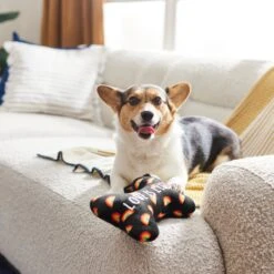 Frisco Pride Proud Pup Bone Plush Squeaky Dog Toy -Pet Toys Store 331638 PT3. AC SS1800 V1647355940