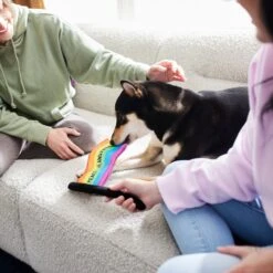 Frisco Pride Flag Flat Squeaky Dog Toy -Pet Toys Store 331640 PT3. AC SS1800 V1647355852