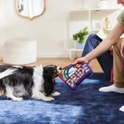 Frisco Pride Rainbow Plush With Rope Squeaky Dog Toy -Pet Toys Store 331653 PT3. AC SS1800 V1647356026