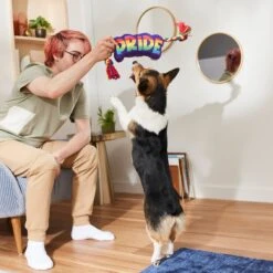 Frisco Pride Plush With Rope Squeaky Dog Toy 7 Frisco Pride Plush With Rope Squeaky Dog Toy -Pet Toys Store 331661 PT3. AC SS1800 V1647356002