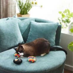 Frisco Pride Buttons Plush Cat Toy With Catnip, 3 Count -Pet Toys Store 331688 PT3. AC SS1800 V1647355746