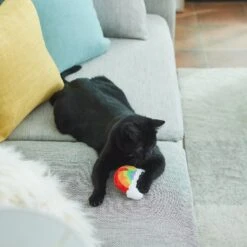 Frisco Pride Rainbow Plush Cat Toy With Silvervine -Pet Toys Store 331690 PT3. AC SS1800 V1647355685
