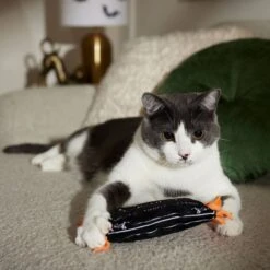 Frisco Halloween A-Paw-Thecary Kicker Plush Cat Toy With Catnip -Pet Toys Store 344000 PT3. AC SS1800 V1657657029