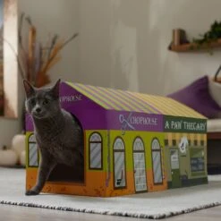 Frisco Halloween A-Paw-Thecary & Chop House Cardboard Cat House With Catnip 10 Frisco Halloween A-Paw-Thecary & Chop House Cardboard Cat House With Catnip -Pet Toys Store 344002 PT3. AC SS1800 V1657657029