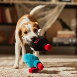 Frisco Halloween Elixirs Plush Squeaky Dog Toy 9 Frisco Halloween Elixirs Plush Squeaky Dog Toy -Pet Toys Store 344004 PT3. AC SS1800 V1689878498