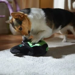 Frisco Halloween Bad Witch Round Plush Squeaky Dog Toy -Pet Toys Store 344006 PT3. AC SS1800 V1657657029