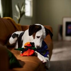 Frisco Halloween Bouquet Plush Squeaky Dog Toy 9 Frisco Halloween Bouquet Plush Squeaky Dog Toy -Pet Toys Store 344018 PT3. AC SS1800 V1657657031