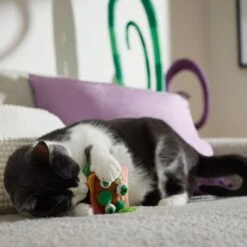 Frisco Haunted Burger Plush Cat Toy With Catnip -Pet Toys Store 344056 PT3. AC SS1800 V1657657030