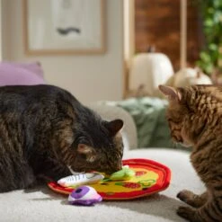 Frisco Halloween Spooky Pizza Interactive Plush Cat Toy With Catnip -Pet Toys Store 344066 PT3. AC SS1800 V1657657031