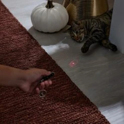 Frisco Halloween Skull Laser Cat Toy -Pet Toys Store 344068 PT3. AC SS1800 V1659279988