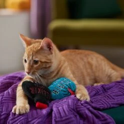 Frisco Halloween Elixirs Plush Cat Toy With Catnip -Pet Toys Store 344070 PT3. AC SS1800 V1657657033