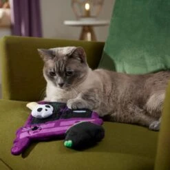 Frisco Halloween Magical Wardrobe Interactive Plush Cat Toy With Catnip -Pet Toys Store 344078 PT3. AC SS1800 V1657657033