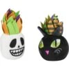 Frisco Halloween Succulents Plush Cat Toy With Catnip, 2 Count 2 Frisco Halloween Succulents Plush Cat Toy With Catnip, 2 Count -Pet Toys Store 344082 MAIN. AC SS1800 V1657657033
