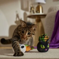 Frisco Halloween Succulents Plush Cat Toy With Catnip, 2 Count -Pet Toys Store 344082 PT3. AC SS1800 V1657657035