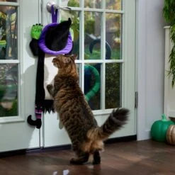 Frisco Halloween Witch Doorknob Hanger Cat Toy With Catnip -Pet Toys Store 344092 PT3. AC SS1800 V1657657035