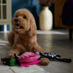 Frisco Halloween Flamingo Plush Squeaky Dog Toy -Pet Toys Store 344123 PT3. AC SS1800 V1657657035