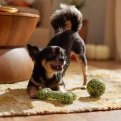 Frisco Halloween Glow In The Dark TPR Squeaky Bone & Ball Dog Toy -Pet Toys Store 344130 PT3. AC SS1800 V1657657042