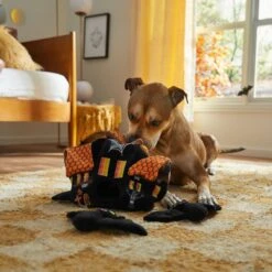 Frisco Halloween Haunted House Hide & Seek Puzzle Plush Squeaky Dog Toy -Pet Toys Store 344136 PT3. AC SS1800 V1657657042