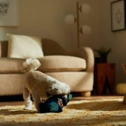 Frisco Halloween Lantern Ballistic Nylon Plush Squeaky Dog Toy -Pet Toys Store 344138 PT3. AC SS1800 V1657657042