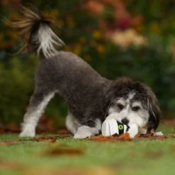 Frisco Halloween Mummy Latex Squeaky Dog Toy -Pet Toys Store 344140 PT3. AC SS1800 V1657657042