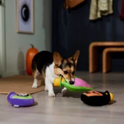 Frisco Halloween Potion Bottles Plush Squeaky Dog Toy -Pet Toys Store 344144 PT3. AC SS1800 V1657657048