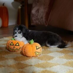 Frisco Halloween Scary Jack-O-Lantern Plush Squeaky Dog Toy -Pet Toys Store 344158 PT3. AC SS1800 V1657657048