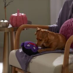 Frisco Halloween Vampire Round Plush Squeaky Dog Toy -Pet Toys Store 344168 PT3. AC SS1800 V1657657049