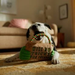 Frisco Halloween "Will Do Tricks For Treats" Sign Plush With Rope Squeaky Dog Toy -Pet Toys Store 344172 PT3. AC SS1800 V1657657049